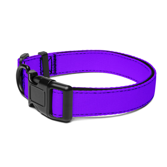 Neon Purple Pet Collar