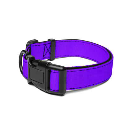 Neon Purple Pet Collar