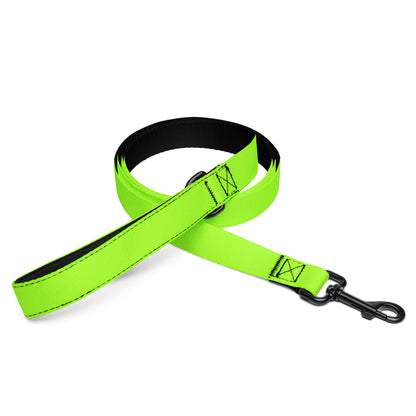 Neon Green Pet Leash