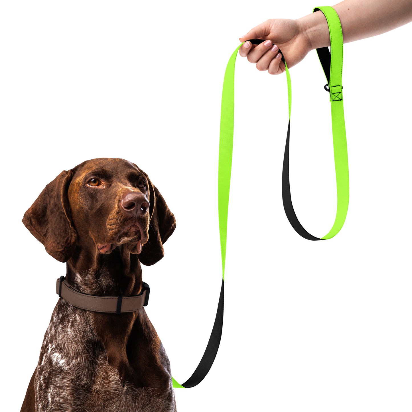 Neon Green Pet Leash