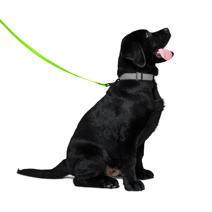 Neon Green Pet Leash