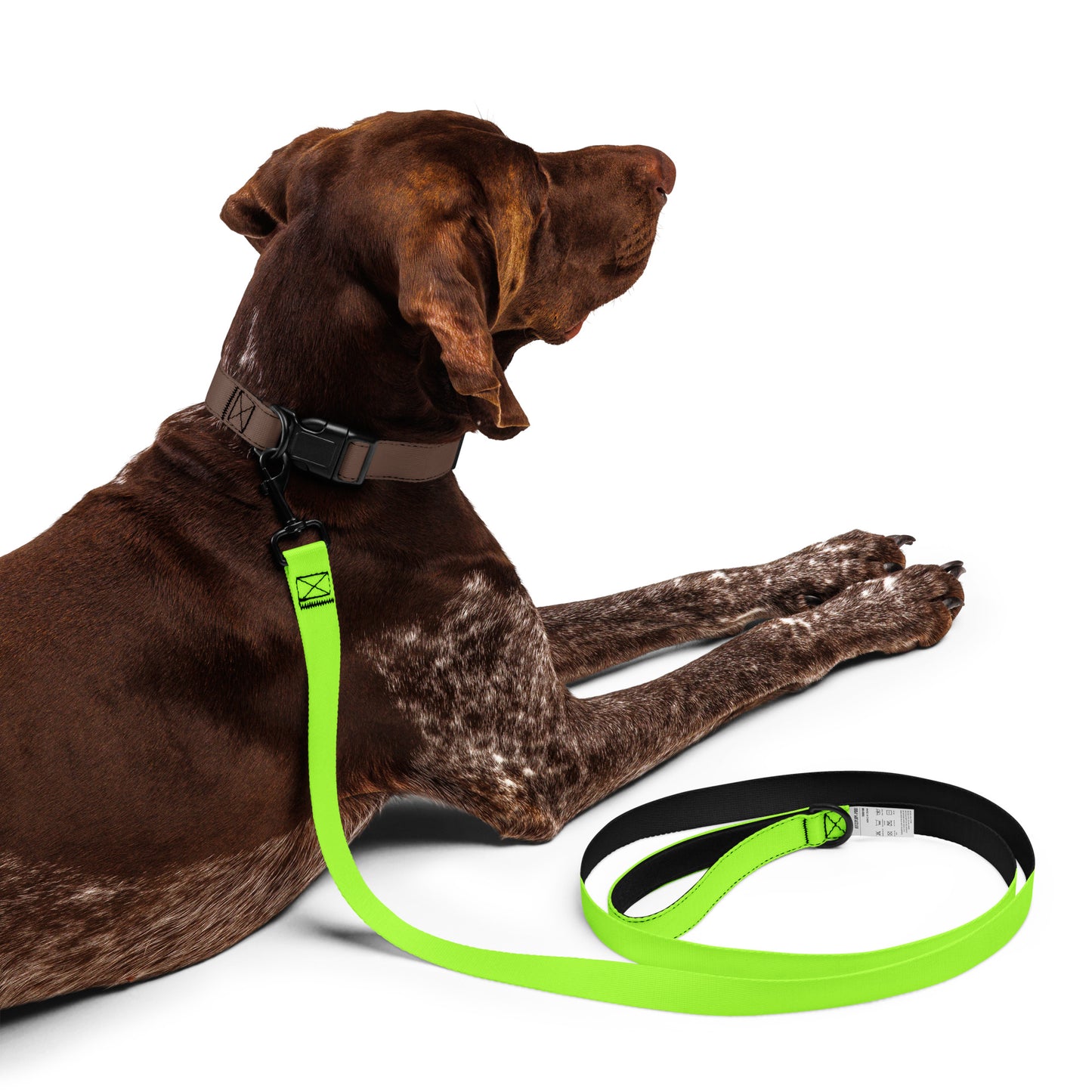 Neon Green Pet Leash